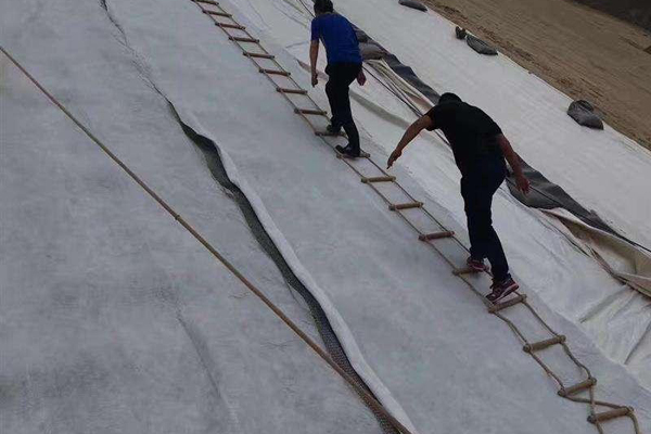 三維復合排水網施工順序是什么  第3張